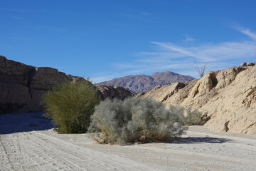 Anza-Borrego State park, CA
