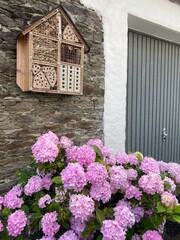 Fototapeta na wymiar Pink Flowers for Bees