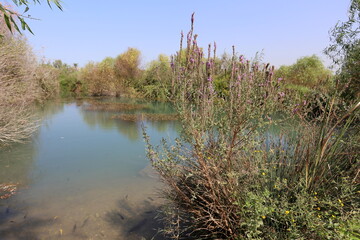 A lake in the north of Israel with huge catfish