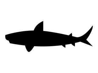 shark fish silhouette