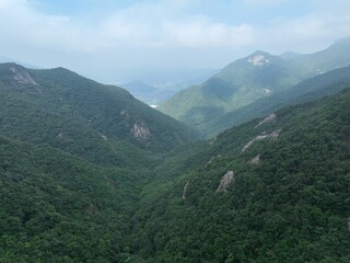 Obraz premium default