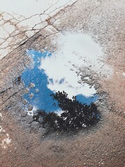 땅에 비친 하늘