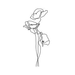 Poppy Flowers One Line Vector Drawing. Botanical Single Line Art, Aesthetic Contour. Perfect for Home Decor, Wall Art Posters, or t-shirt Print, Mobile Case. Continuous Line Drawing of Simple Flowers.