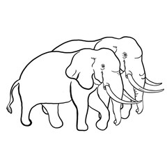elephant cartoon illustration black and white 