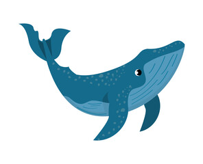 whale sealife animal
