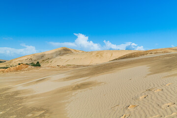 ニュージーランド　ケープ・レインガの近郊にあるテパキ大砂丘