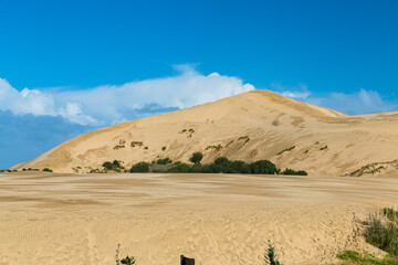 ニュージーランド　ケープ・レインガの近郊にあるテパキ大砂丘