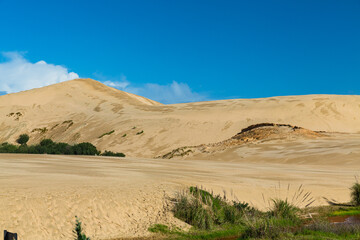 Fototapeta na wymiar ニュージーランド　ケープ・レインガの近郊にあるテパキ大砂丘