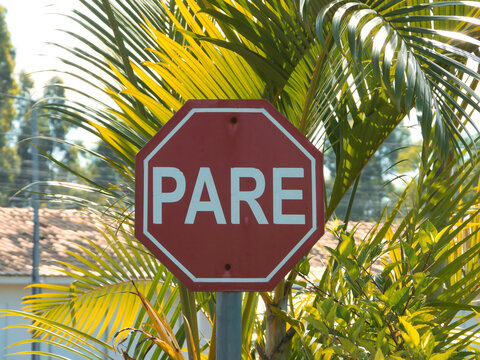 PARE placa de sinaliza&ccedil;&atilde;o de tr&acirc;nsito do Brasil, com fundo verde de vegeta&ccedil;&atilde;o STOP 