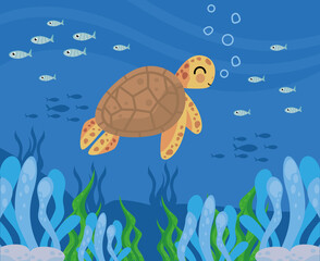 turtle sealife underwater