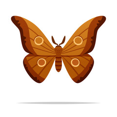 Moth insect vector isolated illustration