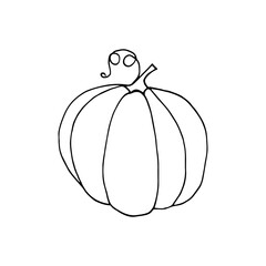 pumpkin hand drawn in doodle style. vegetable in simple line art.