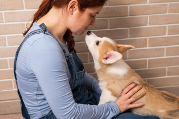 Caucasian woman kissing red welsh corgi puppy. 