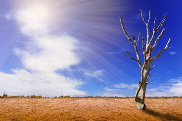 Drought beautiful