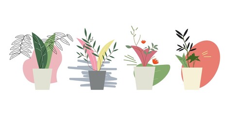 Set abstract floral in background isolated on white. Abstract background of flower on pot isolated on white.  flower on pot. Vector