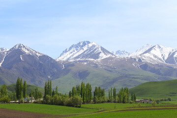 Beautiful spring and summer landscape. Lush green hills, high mountains. Spring blooming herbs.