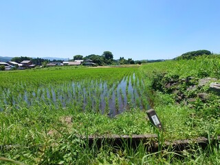 田園風景