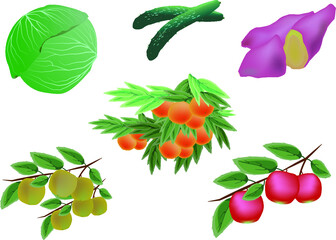 野菜　果物セット