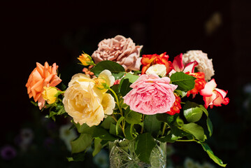 fresh roses on the black background