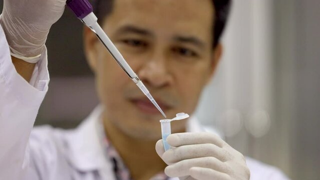 Scientist pipetting sample into vial for DNA testing. Scientist loads samples DNA amplification by PCR into plastic strip tubes. Biochemistry specialist works with lab equipment