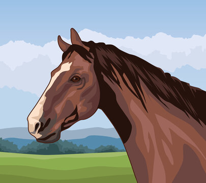 horse animal in landscape