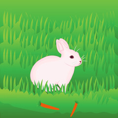 Cute Rabbit Vector Art