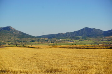 Fototapeta na wymiar landscape with mountains in Campo de San Juan, Spain
