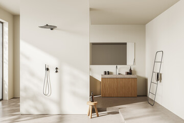 Light bathroom interior with douche, sink and mirror and rail ladder, window