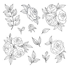 Flowers set of roses and leaves. Elements for desing or coloring book. Isolated on white background. Doodle simple vector collection.
