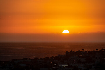 Beautiful colorful sunset sky with silhouette exotic flowers in the foreground on Costa Adeje beach on Tenerife, Canary Islands, Spain, Europe, EU. Vacation vibes on touristic island in Atlantic Ocean