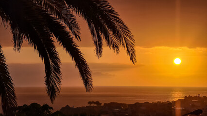 Beautiful colorful sunset sky with silhouette palm trees in the foreground on Costa Adeje beach on...