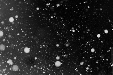Snow background. Snow on a black background. Snowflakes for overlay.