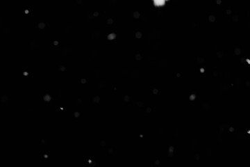 Snow background. Snow on a black background. Snowflakes for overlay.