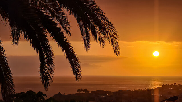 Beautiful colorful sunset sky with silhouette palm trees in the foreground on Costa Adeje beach on Tenerife, Canary Islands, Spain, Europe, EU. Vacation vibes on touristic island in the Atlantic Ocean