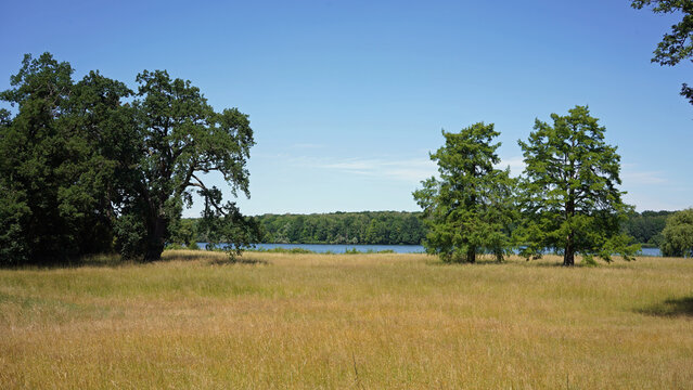 Jungfernsee Potsdam