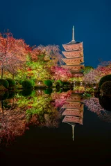 Foto op Aluminium もみじ 紅葉 momiji maple 京都 kyoto 日本 japan 秋 autumn autumnleaves 風景 和 和風 寺 お寺 寺院 temple リフレクション 反射 水面 ライトアップ © Mr.Kyoto