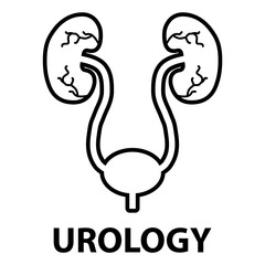Urology health human icon, anatomy medical body bladder sign, biology vector illustration