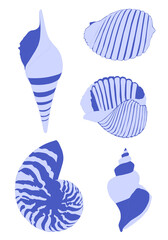 Sea shells. Line art, vector illustration