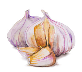 garlic isolated on white background - 516124618