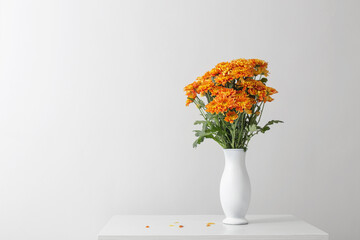orange   chrysanthemums in  white  vase on white background