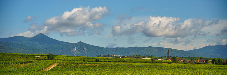 Alsace landscape, France