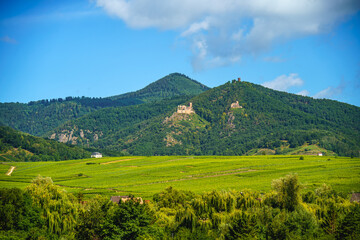 Fototapeta na wymiar Alsace landscape, France