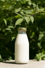 A bottle of fresh milk on a sunny summer farm meadow, grass, nature and plants. Mockup, eco food, dairy products concept.