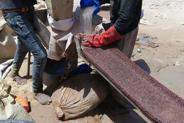 Artisanal miners producing gold in Chami, Mauritania. The ore is mixed with water and the heavy...