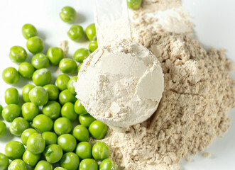 Plant base protein Pea Protein Powder in plastic scoop with fresh green Peas seeds on white...