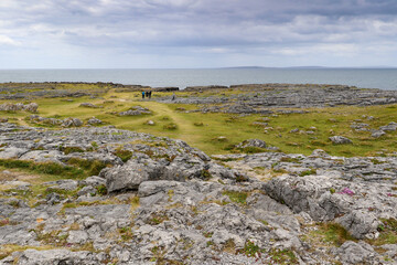 The Burren karst landscape of county clare in ireland on the wild atlantic way