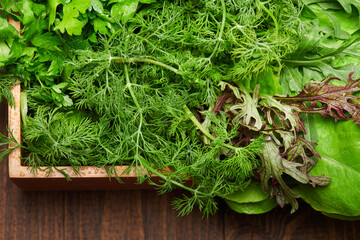 a top of bunch of green dill, parsley, salad, herbs and other greens in a wooden box, dark wood background, concept of fresh vegetables and healthy food