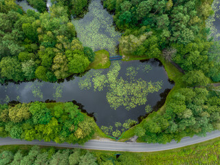 Aerial view of green lake  bank. Natural habitat for wild nature and recreation area.