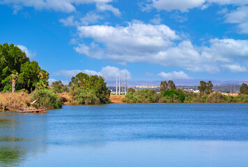 Bright summer lake landscape in day. Lake surrounded by colorful deciduous trees during summer under a sky with fluffy clouds. Green forest on the lakes shore. Tourism, summer concept. Selective focus