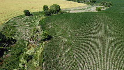 A dried up river near a field in summer. Trees and thickets. Nature and agriculture. Aero...